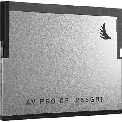 Picture of Angelbird AVpro CF 256 GB