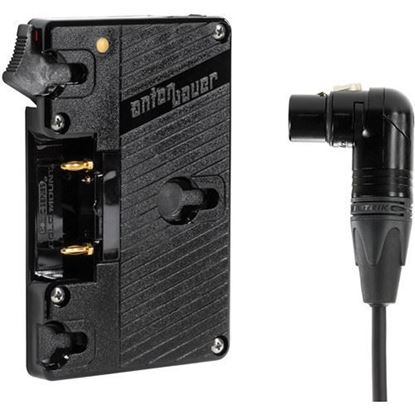 Picture of Wooden Camera - WC Gold Mount (XLR-RA)